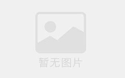 构建数据驱动的商业洞察，多系列商务动态图表分析与应用